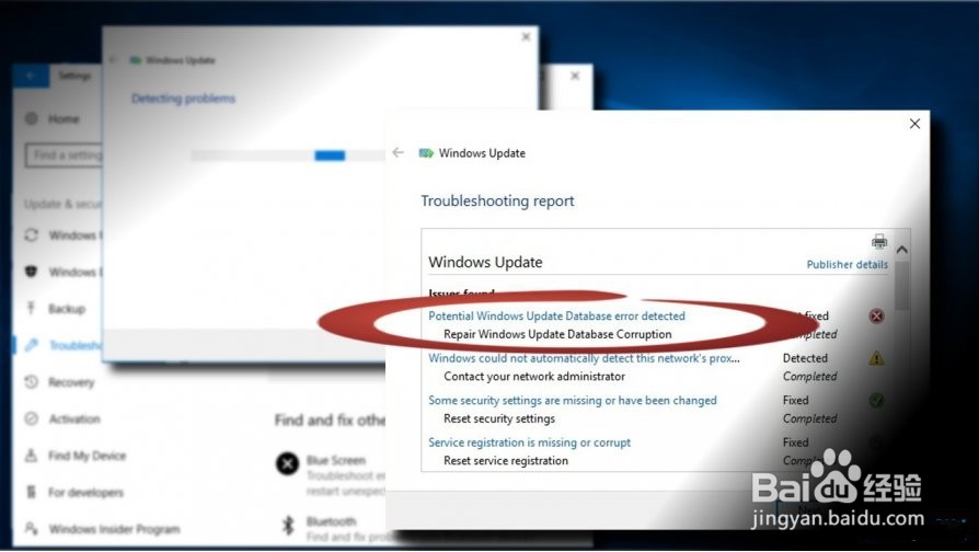 如何解决“Windows更新数据库错误检测”问题
