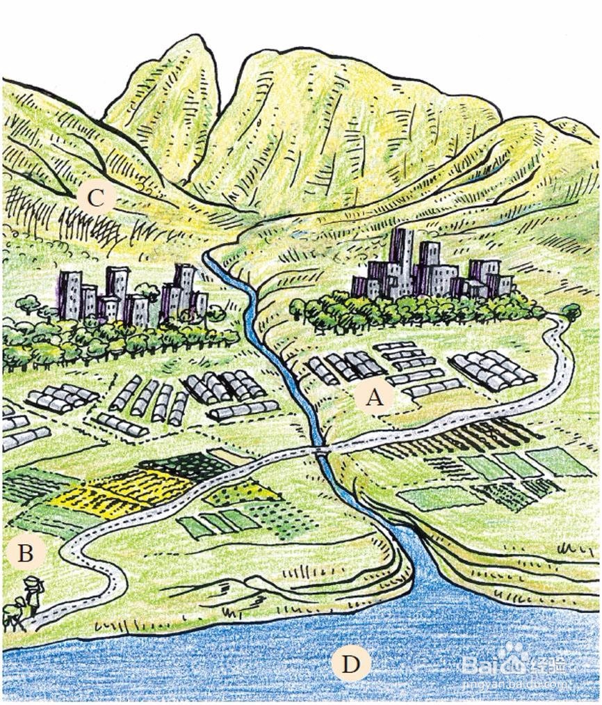 如何因地制宜发展农业