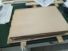 怎么制作松树标本