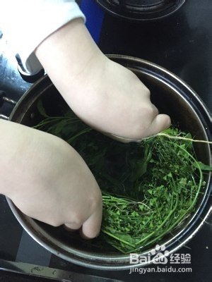 荠菜花煮鸡蛋儿童版