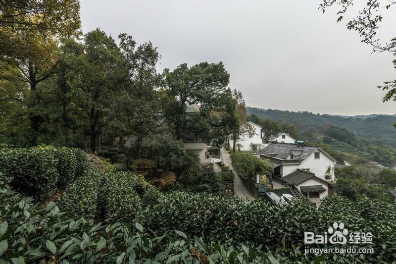 诗画浙江畅游杭州攻略4