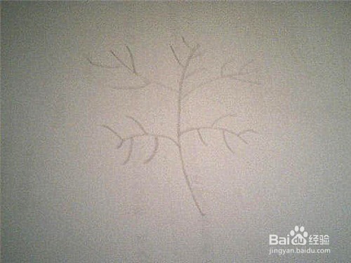 简笔画形状特殊的叶子这样画