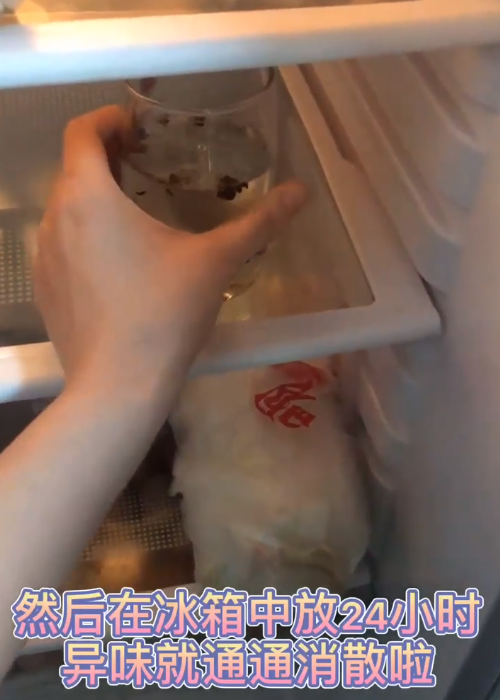 如何巧妙去除冰箱异味