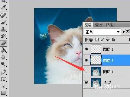 用PS制作动态猫咪表情包