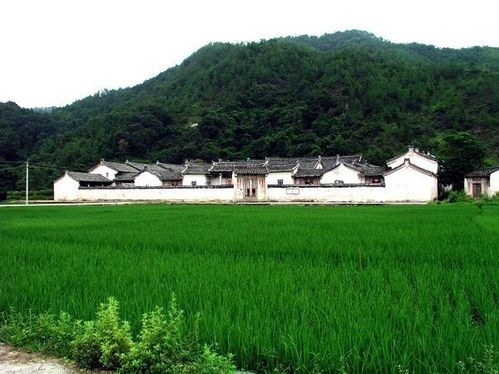 槟城旅游住宿指南