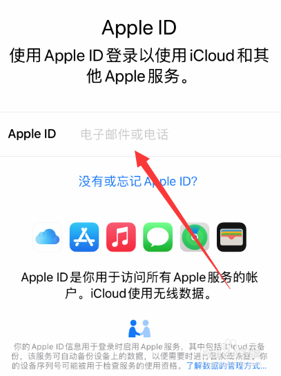 苹果手机id是什么样的格式