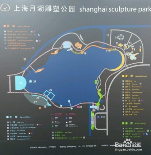 上海有哪些遛狗好去处--月湖雕塑公园