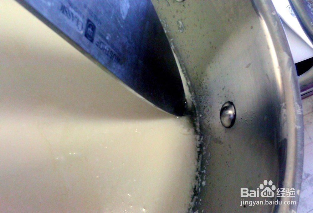 味美鲜香的马苏里拉奶酪