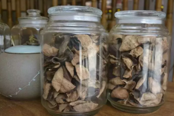 新会陈皮的年份可以用机器来检测吗?