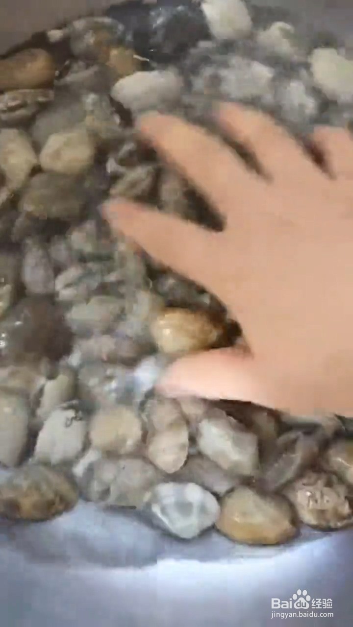 如何制作蒜香花蛤