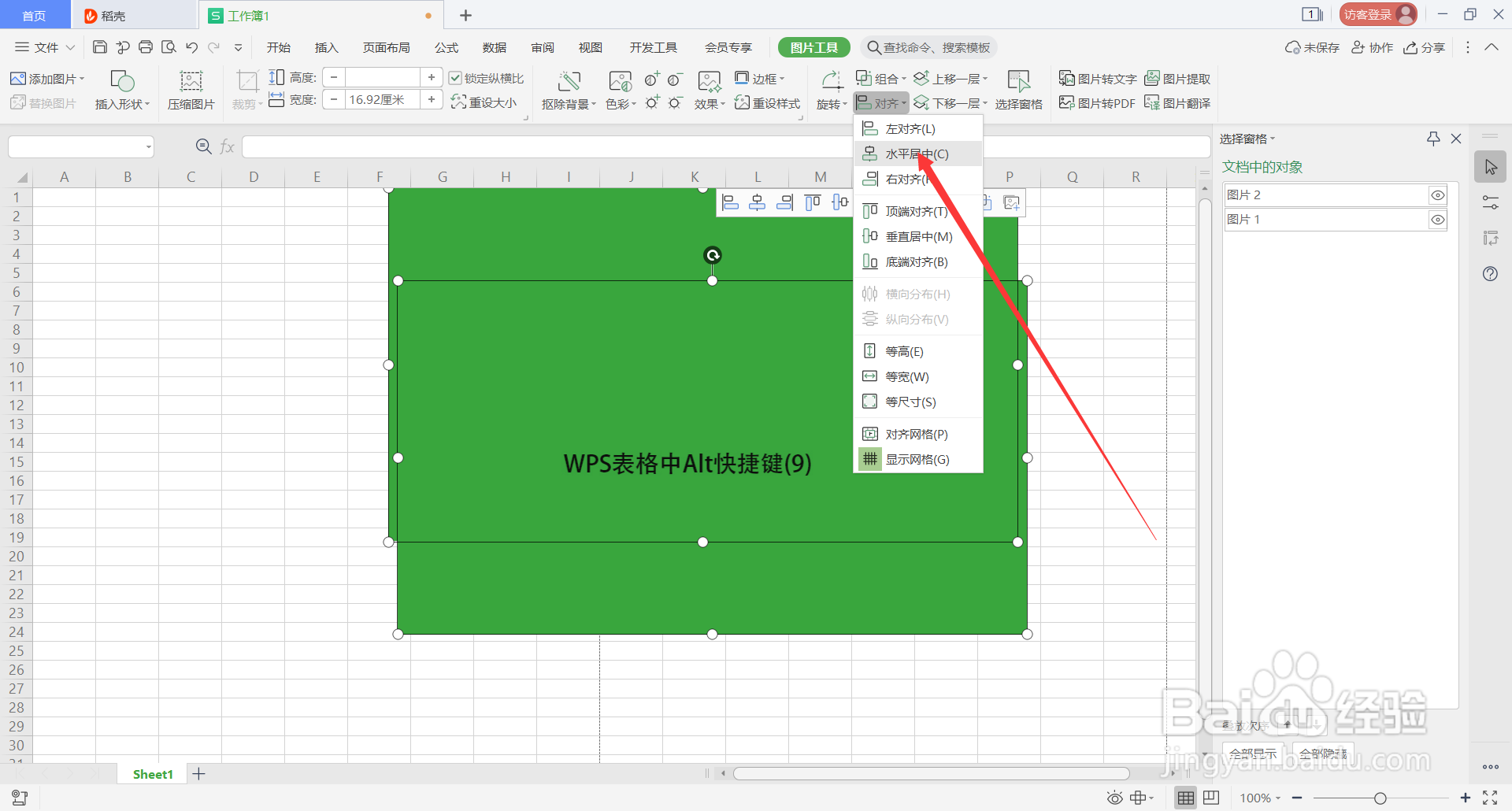 WPS表格中Alt快捷键(9)
