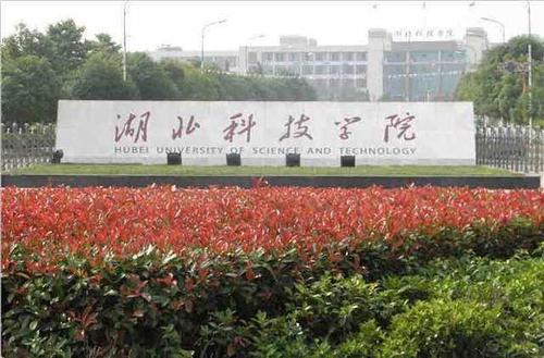 2019年湖北科技学院体育生录取分数线是多少