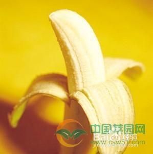 不同的人选择不同的水果