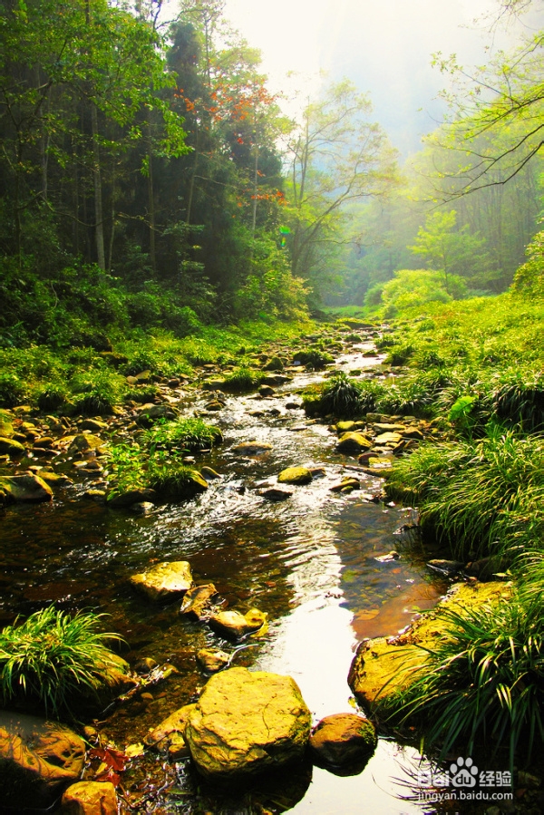 重庆到张家界自驾游攻略