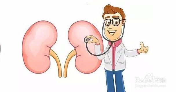 人到中年脱发怎么办