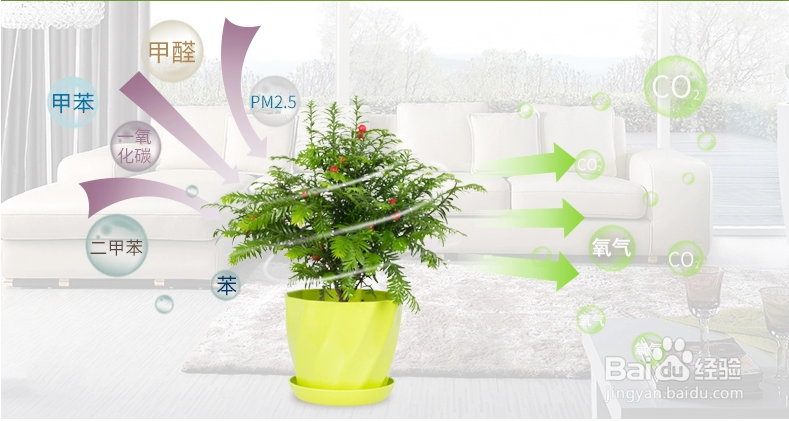 选购母婴空气净化器应该注意哪些？