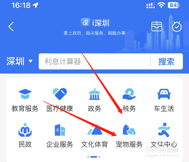 怎么给猫驱虫