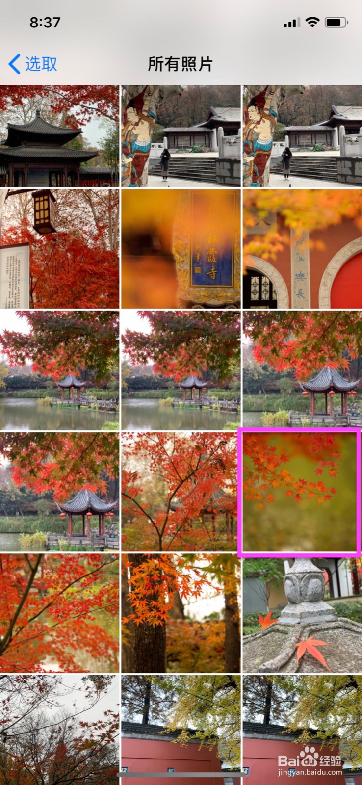 iPhone怎么换壁纸