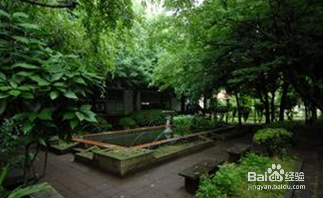 大学选课指南
