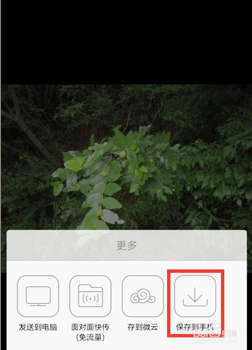 怎样利用无线网把照相机里的照片发送到手机