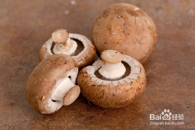 如何选购香菇，多吃香菇有什么好？