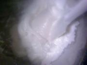 天使蛋糕制作方法