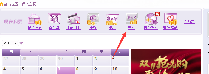 如何使用光大银行网上银行购买外汇