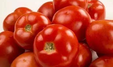 <b>西红柿它竟然能治疗十种疾病！</b>