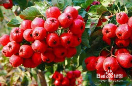 一些小妙招让咳嗽好得快些？