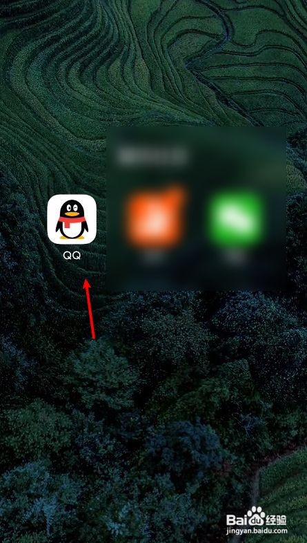 qq兴趣部落怎么搜索不了了呢