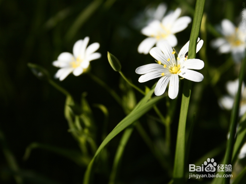 如何正确认识自己：[1]建立性格档案