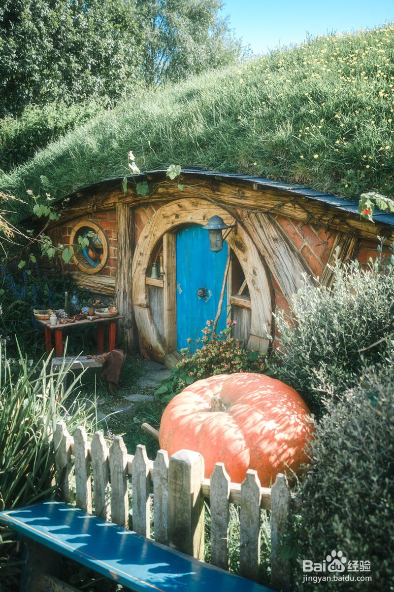 新西兰漫游简记4