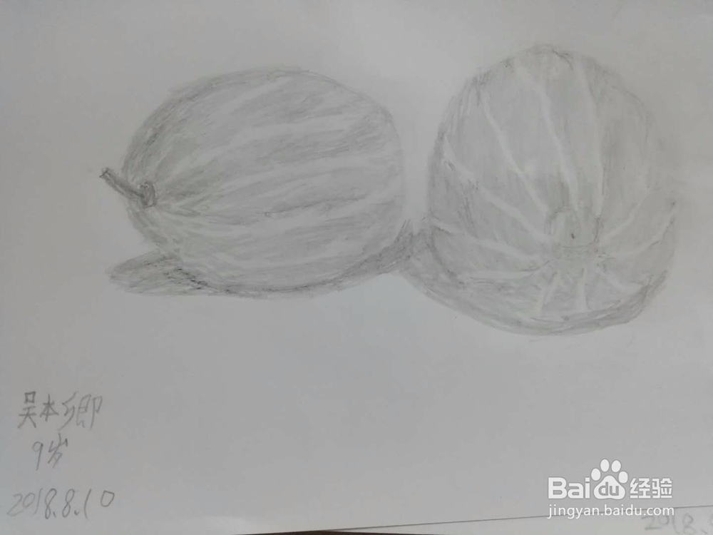 素描静物蔬菜水果——西瓜怎么画
