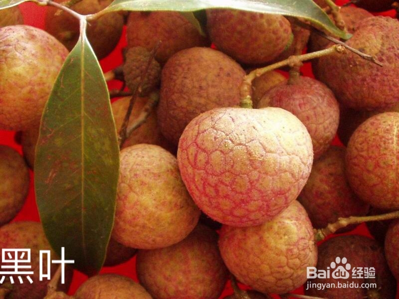 如何看水果店的荔枝是什么品种