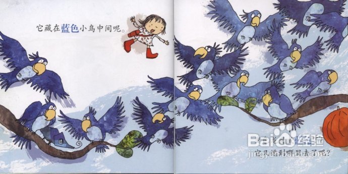 家有小宝,快乐认知--《幼儿双语绘本》