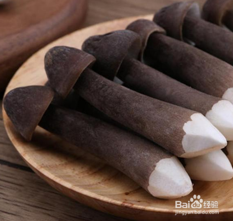鸡枞菌怎么种植