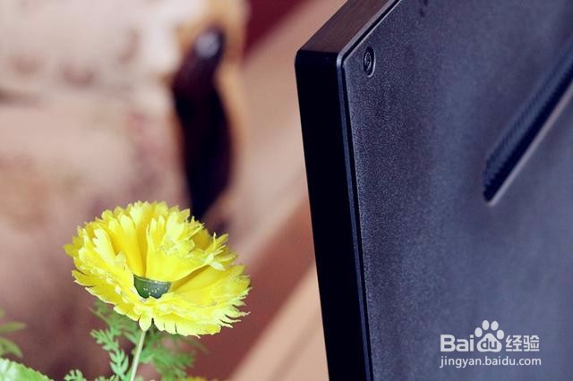 联系亲情新纽带 微鲸WTV43K1纯体验图赏