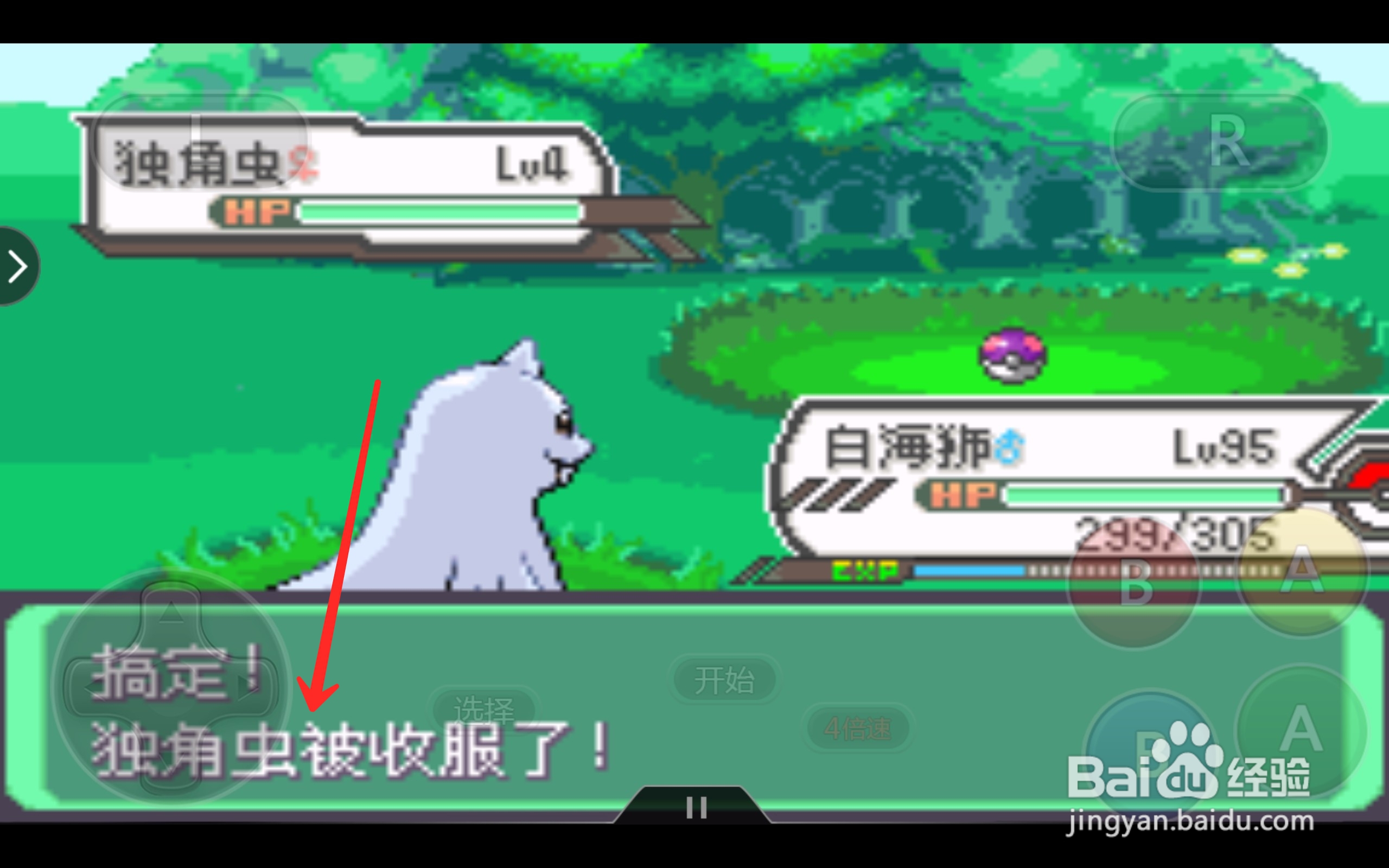 口袋妖怪独角虫怎么抓