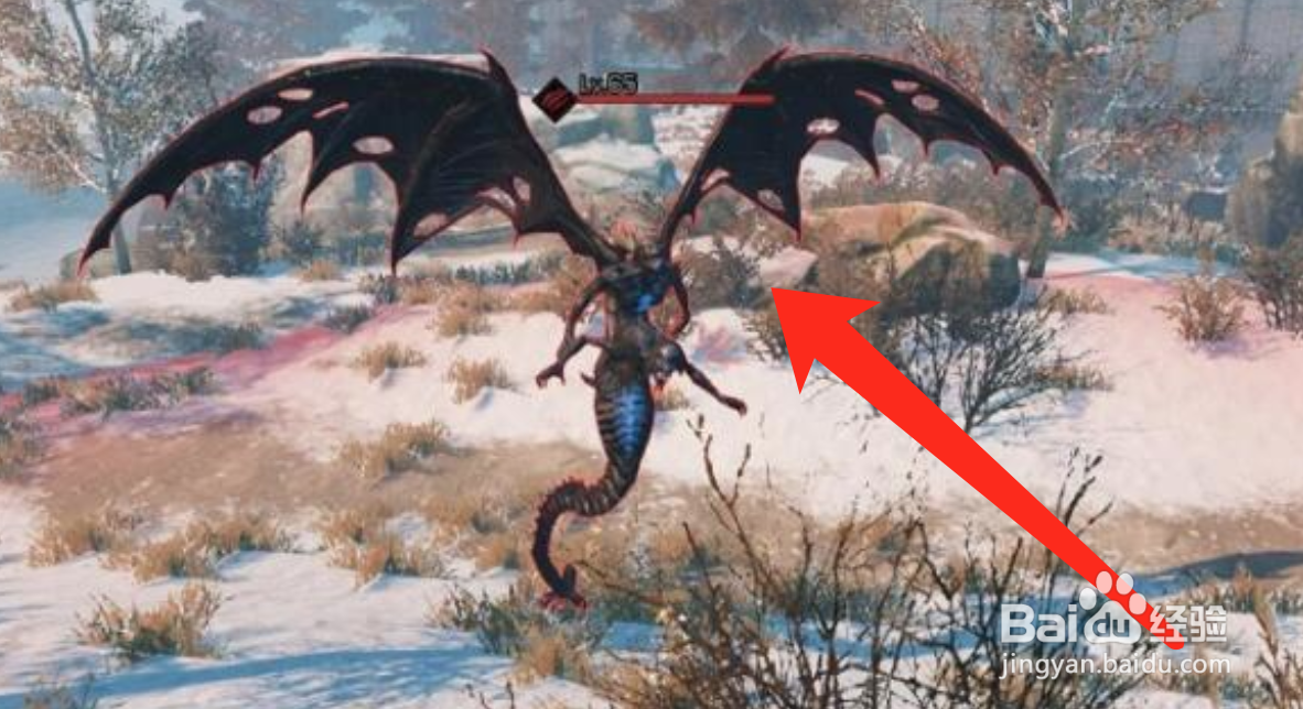 明日之后风信子花环任务完成方法