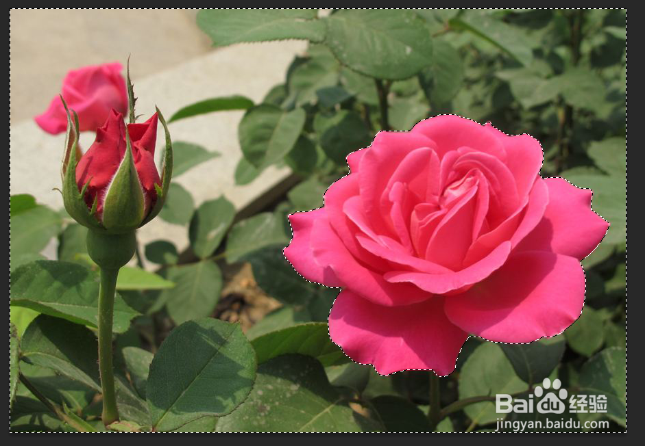 PS历史记录画笔有什么用