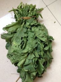 萝卜缨包子的做法