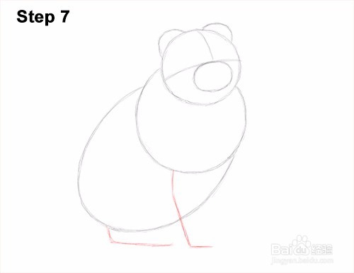 如何画一只猫（苏格兰折）玩——加菲的吃货生活