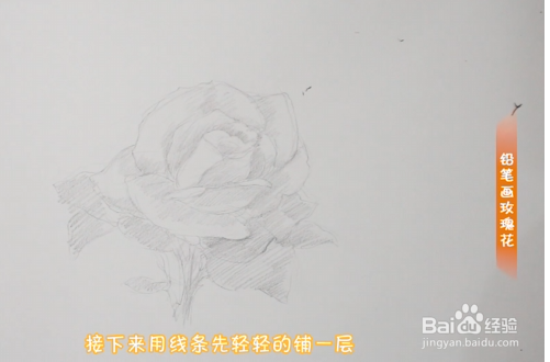 铅笔画玫瑰花步骤教程
