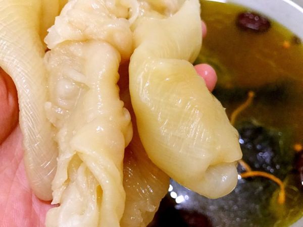 花胶虫草花乌鸡汤