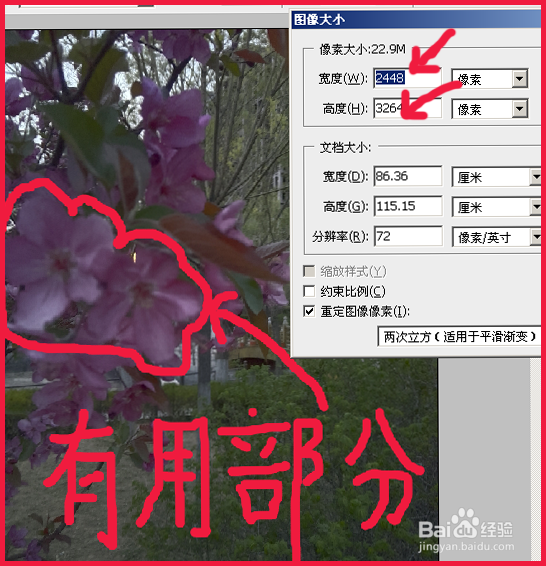 PS怎样把图片变小