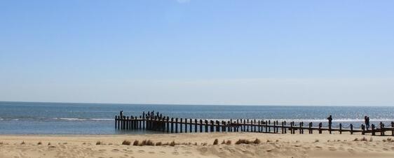 阿那亚怎么预约