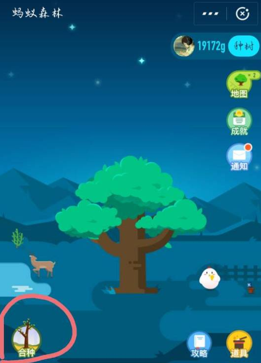 蚂蚁森林合种的树会在主界面显示吗