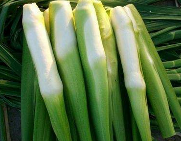 哪些人不能吃禾笋