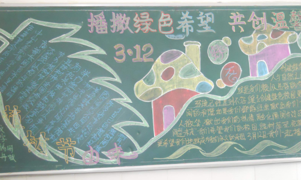 语文教育专业可以吗,还是小学教育