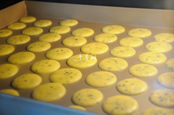 黑芝麻鸡蛋瓦片饼干